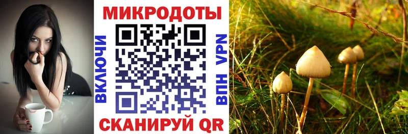 наркотики  Дзержинск  Галлюциногенные грибы ЛСД 